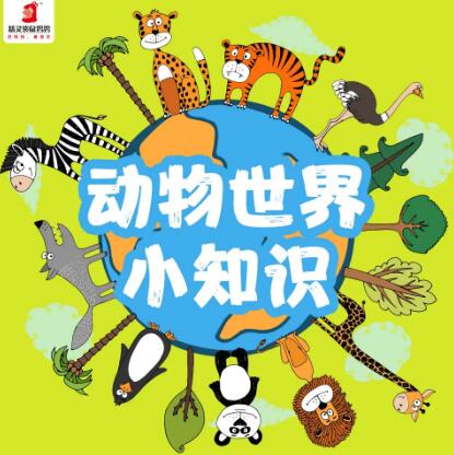 儿童睡前故事《动物世界的77个小知识》MP3免费打包 77集 精灵袋鼠妈妈播音第1张