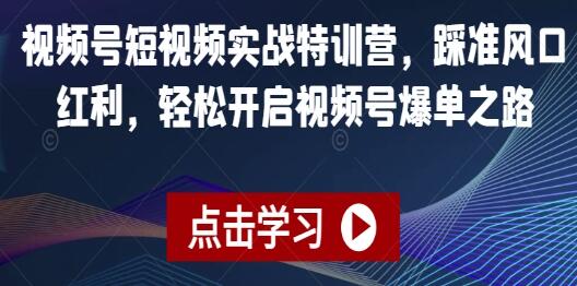 《短视频实战特训营》：抓住风口机遇，轻松实现视频号爆款之路第1张