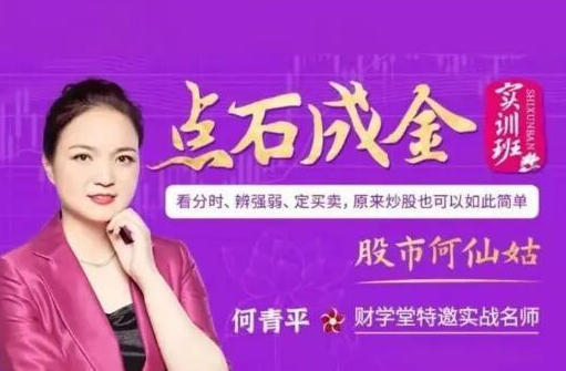 股市何仙姑何青平点石成金系统课