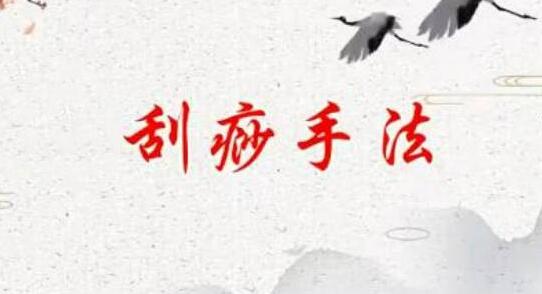 刘霞《新版人体十二部刮痧手法》视频教程第1张