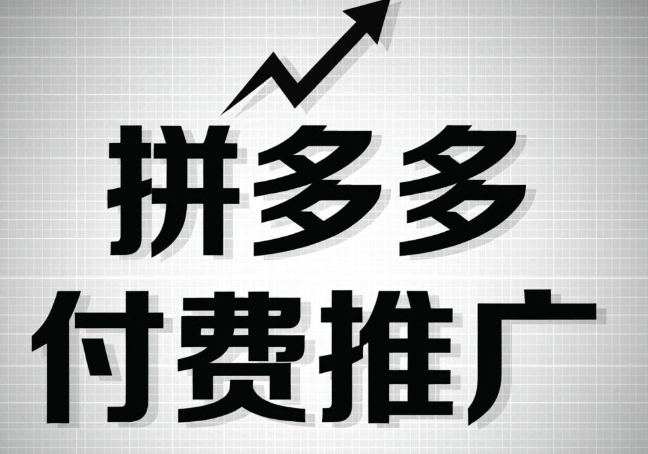 拼多多付费推广进阶玩法，与防坑指南