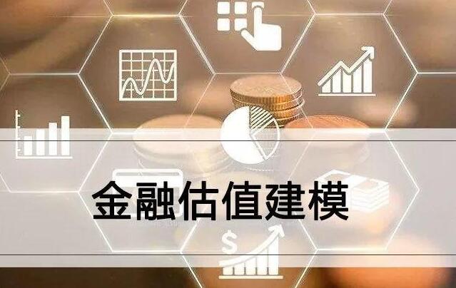 《金融估值建模方法论》视频教程第1张