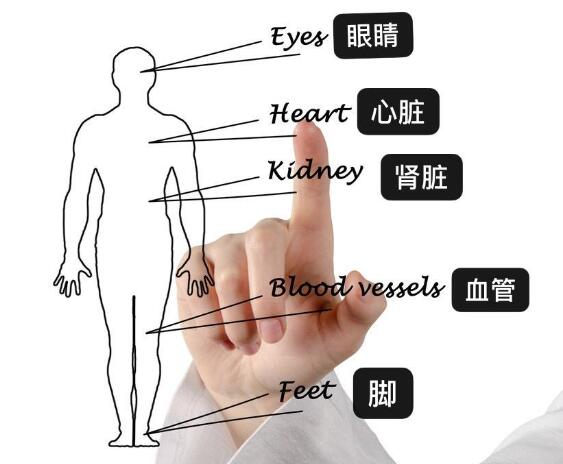 王奇岩《从头到脚的病症调理》中医调理全身第1张