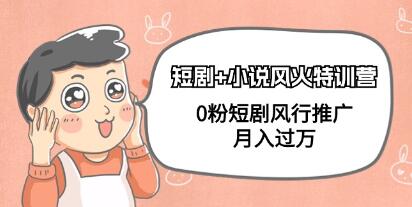 《短剧+小说风火特训营》0粉短剧风行推广，月入过万【已实战赚到钱】第1张
