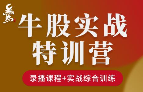 无为《牛股实操特训营》视频第1张