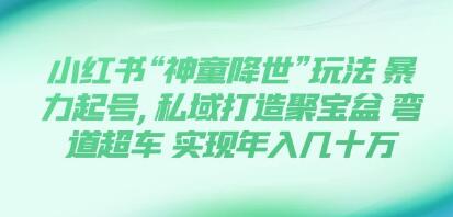 小红书神奇天才的方式：通过暴力起号，在私域中打造财富》以及 