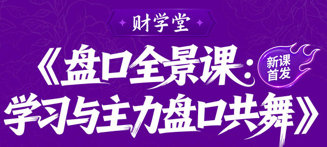 雨禾-盘口全景课:学习与主力盘口共舞第1张-惠学吧-虚拟资源货源网 雨禾-盘口全景课:学习与主力盘口共舞