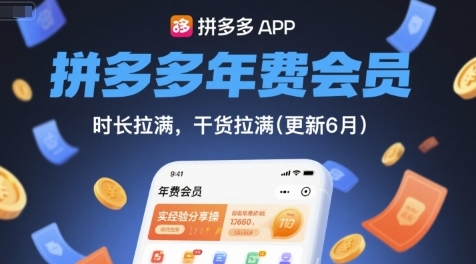 拼多多实战经验分享,盈利突围战第1张-惠学吧 拼多多实战经验分享,盈利突围战