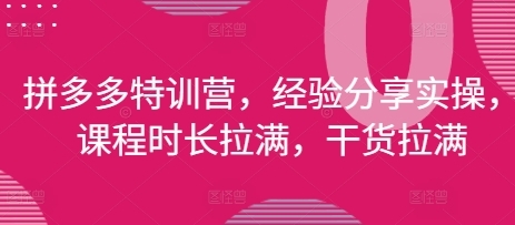 拼多多特训营，经验分享实操，干货拉满