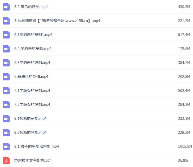 烧烤技术配方大全教学视频内容截图3