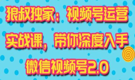 微信视频号运营20:最新独家实战策略，高效粉丝吸引与经济收益实现第1张