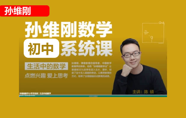 孙维刚初中数学系统课视频71课时全套下载第1张