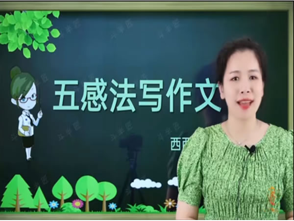 西西老师小学作文视频课《五感法写作文》21课全套视频下载