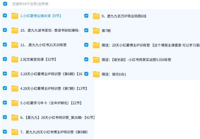 厦九九joy全套小红书课程视频下载 