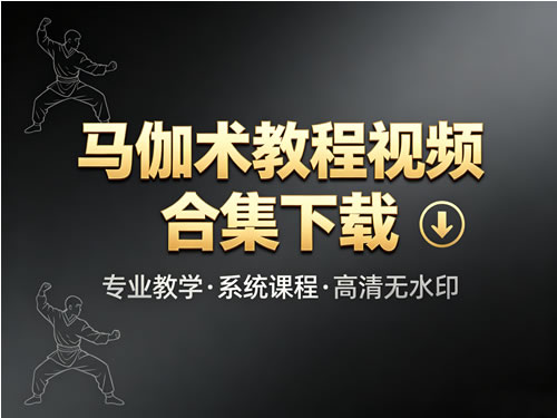 马伽术以色列格斗术教程视频合集下载第1张-惠学吧-虚拟资源货源网 马伽术教程视频合集下载