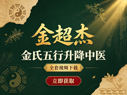 金超杰--金氏五行升降中医全套视频下载第1张-惠学吧-虚拟资源货源网 金超杰–金氏五行升降中医全套视频下载