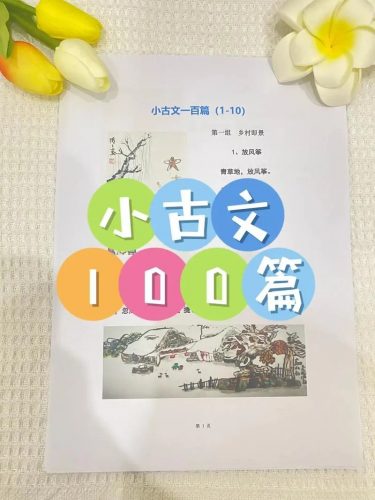 海狸老师-小古文精选精读100篇视频课程第1张-惠学吧 Image 317