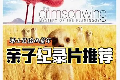 《13部迪士尼自然纪录片》高清视频最强动物类纪录片合集第1张-惠学吧 Image 1372