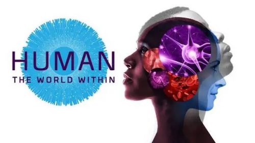 《人类:体内的世界 Human: The World Within》英文版全6集下载Netflix纪录片第1张-惠学吧 Image 1674