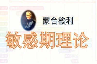 《儿童智能发育九大敏感期》+《怎样帮助孩子选择及适应幼儿园》+《0~6岁幼儿数学能力发展特点》第1张-惠学吧 Image 2102