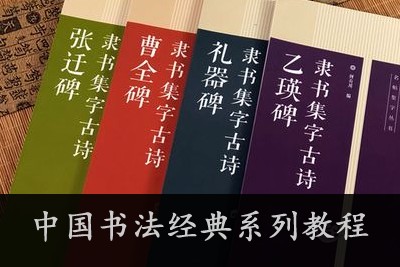 《中国书法经典系列教程:草书、楷书、隶书、纂书入门》共4套视频教程第1张-惠学吧 Image 2217