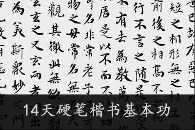 (程诚)《14天硬笔楷书基本功》第1张-惠学吧 Image 2231
