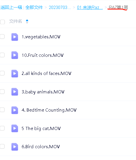 未泱Raz精读课初级+中级+高级+ket通关+桥梁第4张-惠学吧 Image