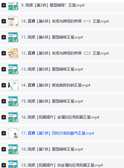 2024王瑾化学全年秋寒暑A+网课视频全套第7张-惠学吧 Image