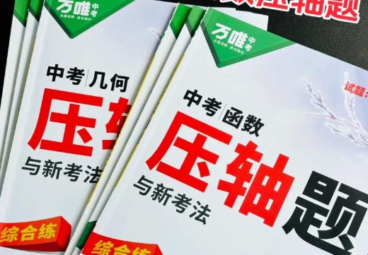 2025万唯《初中数学•函数压轴题与新考法》PDF下载第1张
