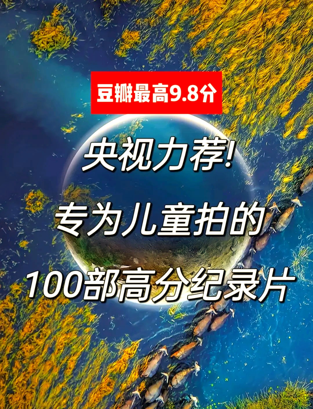 家长应该陪孩子看的100部纪录片下载第1张-惠学吧 Image