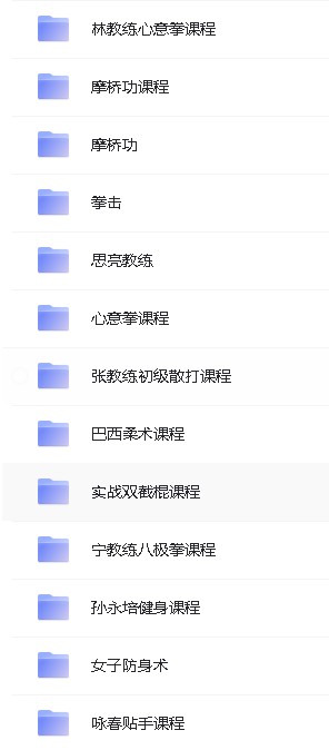 中华武术系列名师视频教程合集下载第3张-惠学吧 Image