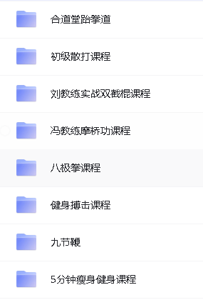 中华武术系列名师视频教程合集下载第4张-惠学吧 Image