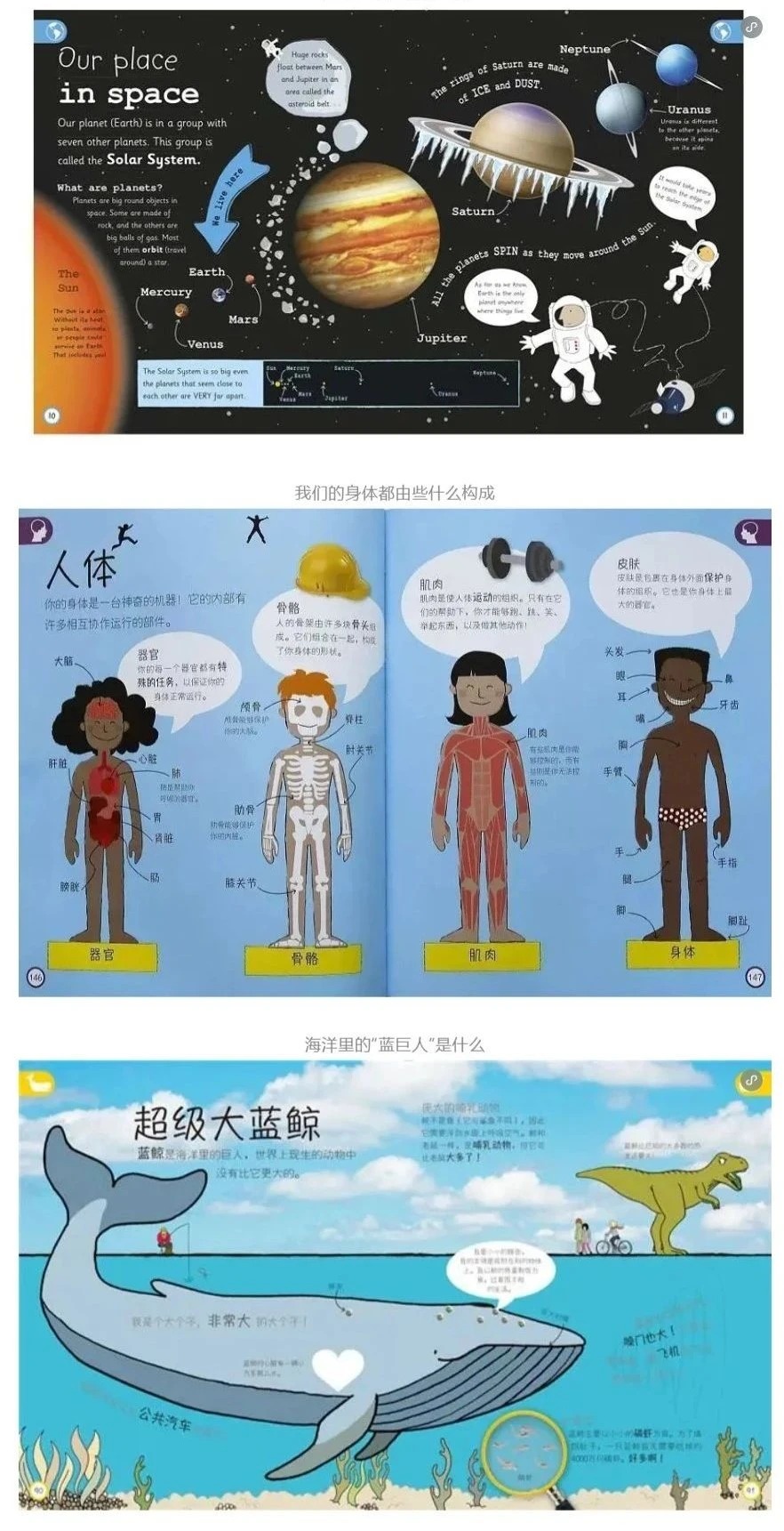 DK百科全书中文版大全套,上千本资源、视频等最全合集下载第6张-惠学吧 Cd204a2a76d5a7b6479e719bc46800d0