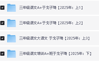 25年希望学小学1-6语数英网课程视频合集第13张