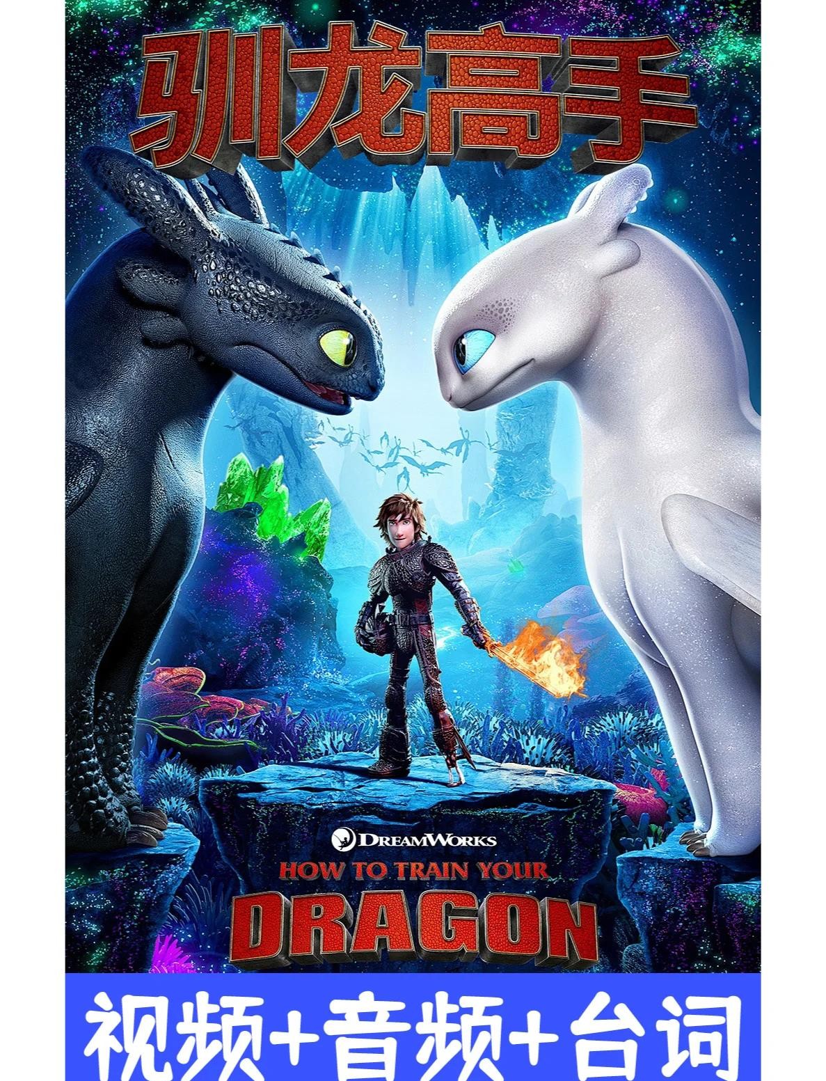 How to train your dragons 《驯龙高手》1-8季动画片全套下载第1张