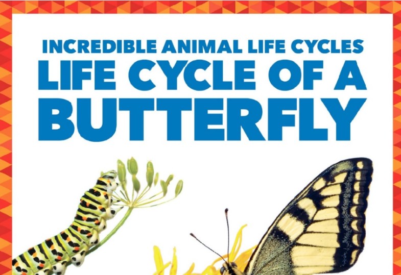 Jump!出版社Pogo系列儿童科普读物《Life Cycle of Animals》7册，完整呈现动物生命周期 PDF第1张