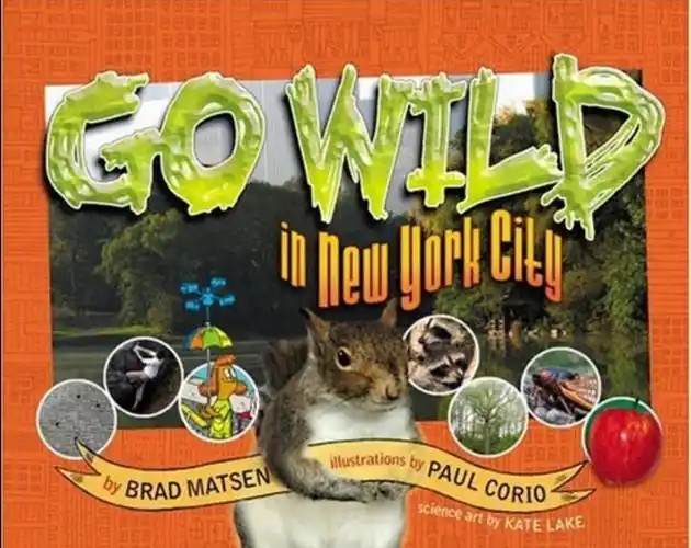 Go Wild (视频+音频) 下载，BBC户外自然科普儿童英文节目第1张