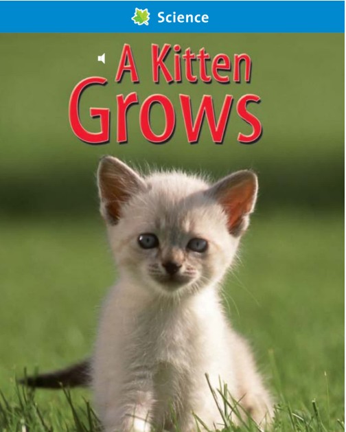 哈考特语文数学科学三科PDF点读版GK-G6全套下载第3张-惠学吧 Image