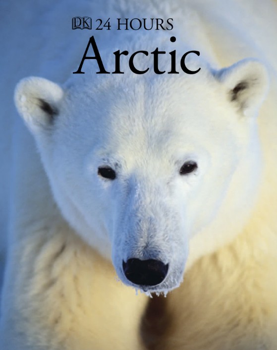 【原版】DK儿童科普系列《DK 24Hours》4册全套PDF下载第3张-惠学吧 Image