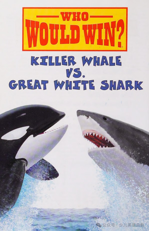 Aafefc3e6049ff1ce8c4250b241fa0d2