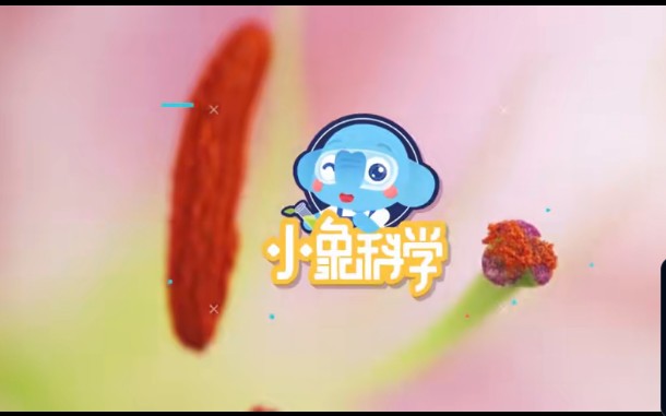 《小象科学课》9阶全套视频网盘下载第2张-惠学吧 Image