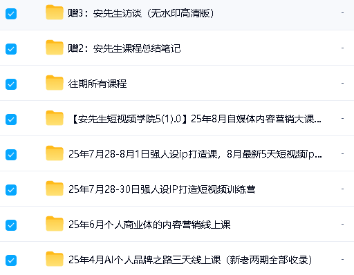 安先生2025全套自媒体课程下载第2张-惠学吧 Image