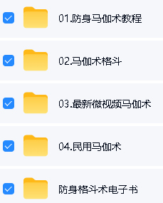 马伽术以色列格斗术教程视频合集下载第2张-惠学吧-虚拟资源货源网 Image