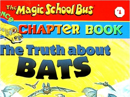 《神奇校车 章节书(The Magic School Bus Chapter Book)》汇总PDF下载第1张-惠学吧-虚拟资源货源网 Image