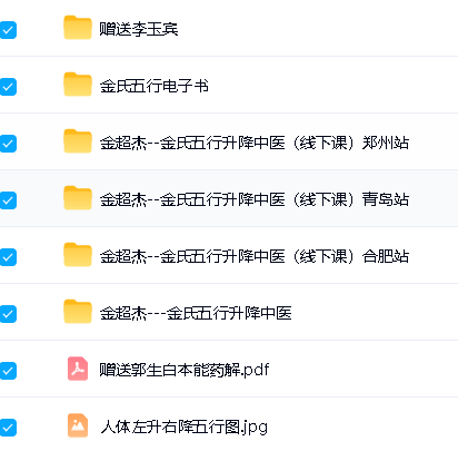 金超杰--金氏五行升降中医全套视频下载第2张-惠学吧-虚拟资源货源网 Image